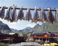 Lofoten islands. Photo Frithjof Fure/Innovation Norway