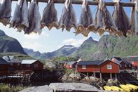 Lofoten Islands. Photo Frithjof Fure/Innovation Norway
