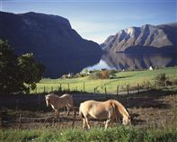 Aurlandsfjord. Photo Frithjof Fure/Innovation Norway