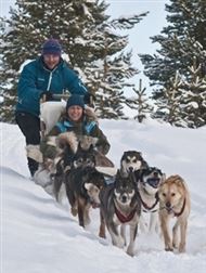 Dog sledding. Photo by CH, Innovation Norway