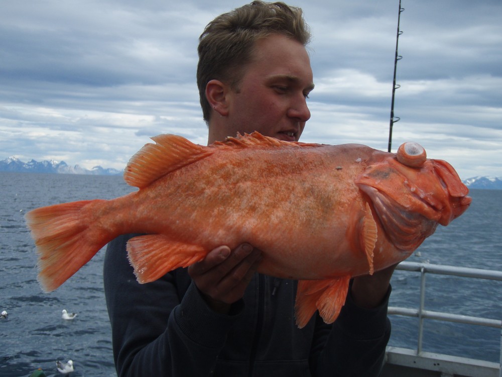 Fishing trip. Photo Soroya Havcruise