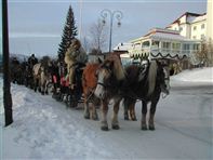 Horse Sleigh ride. Photo Dr Holms Hotel