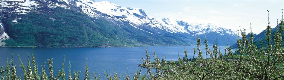 Hardangerfjord photo by Frithjof Fure/Innovation Norway