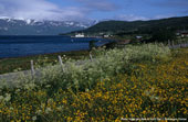 Tromso area. Photo Viggo Jorn Dale/Dest. Tromso