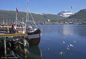 Tromso pier. Photo Bard Loken/Destinasjon Tromso